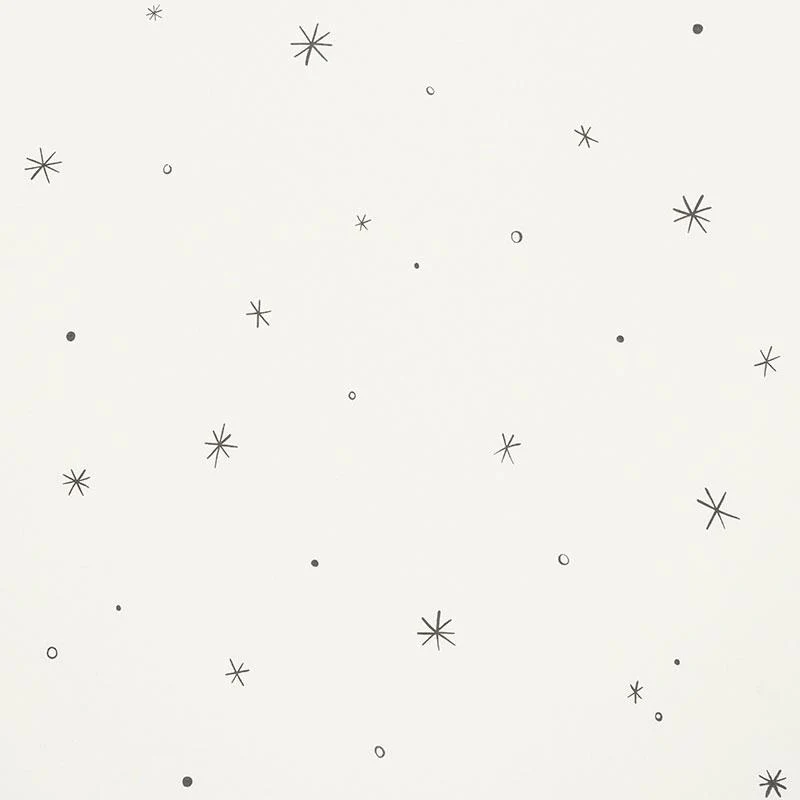 Schumacher Calisto Ivory & Black Fabric