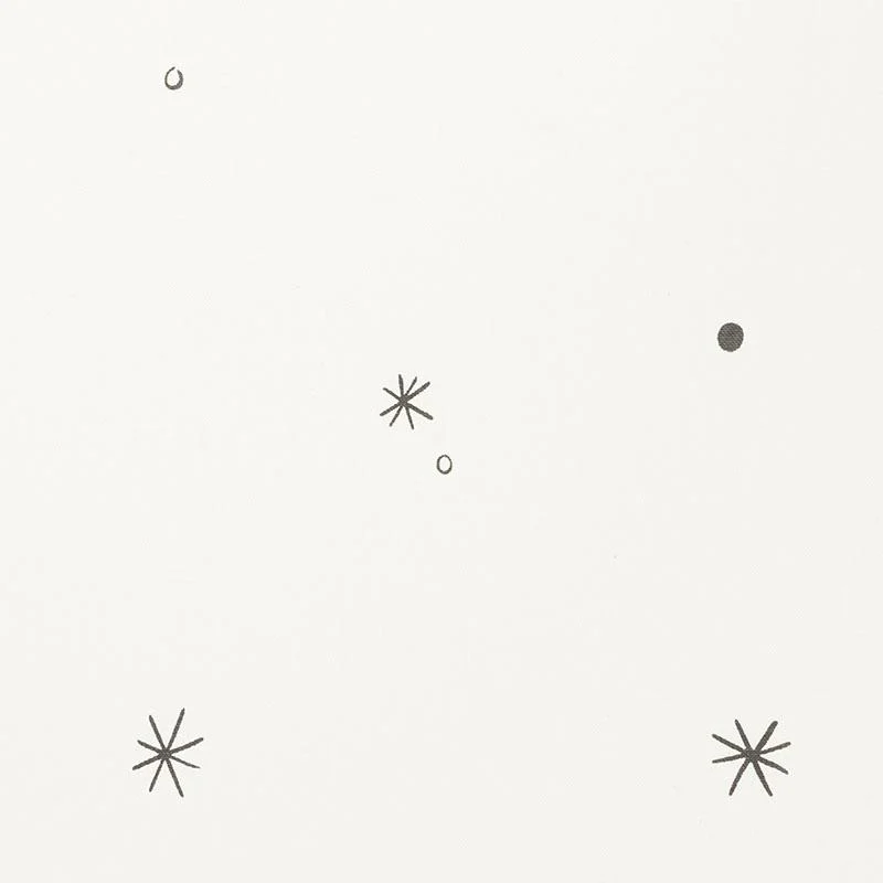 Schumacher Calisto Ivory & Black Fabric - Image 3