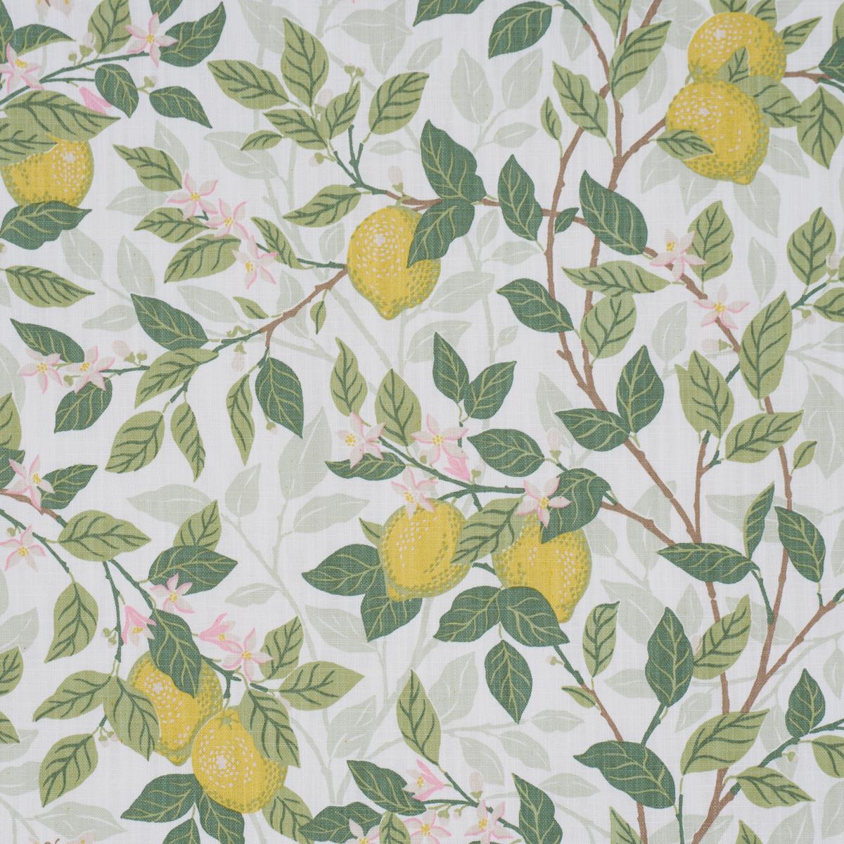 Schumacher Citronträd Ivory And Leaf Fabric - Image 2