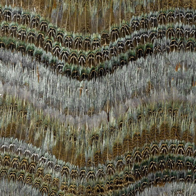 Schumacher Clearwater Blue Heron Wallpaper - Image 2