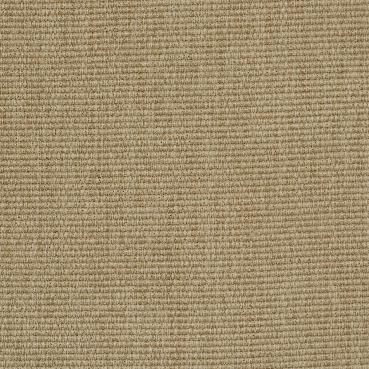 Schumacher Cooper Indoor/Outdoor Sand Fabric - Image 3