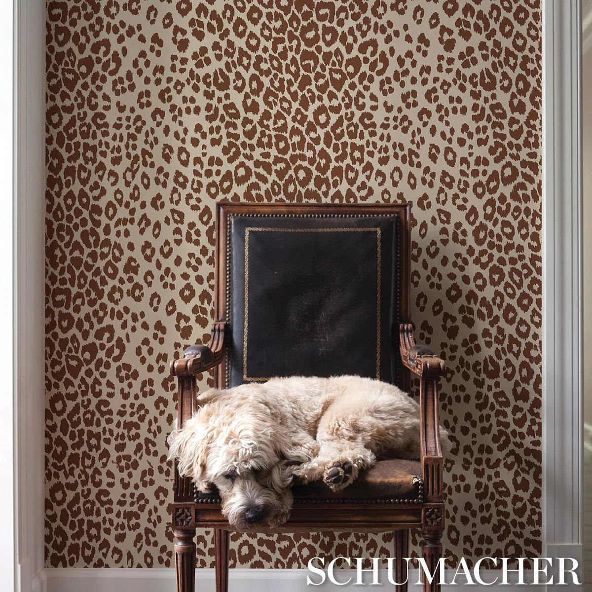 Schumacher Iconic Leopard Brown On Neutral Wallpaper - Image 4