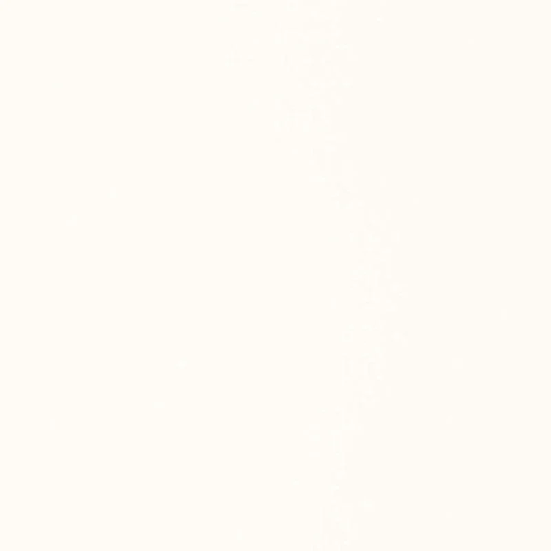 Schumacher Isolde Cotton Weave Winter White Fabric