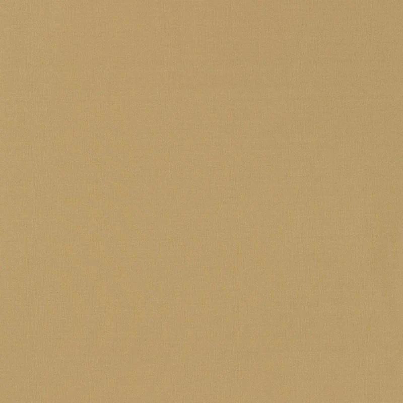 Schumacher Masaccio Taffeta Chamois Fabric