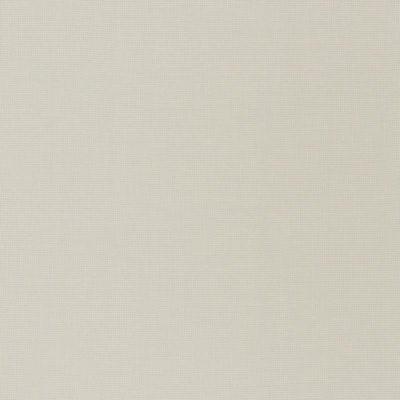 Schumacher Mondello Indoor/Outdoor Platinum Fabric - Image 2