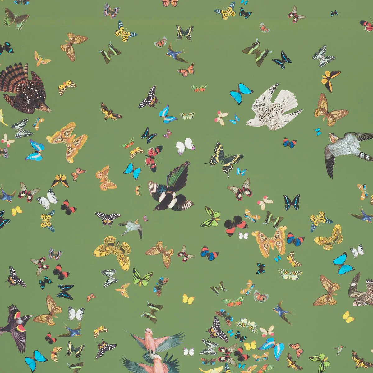 Schumacher Queen'S Flight Panel Set Green Wallpaper - Image 3