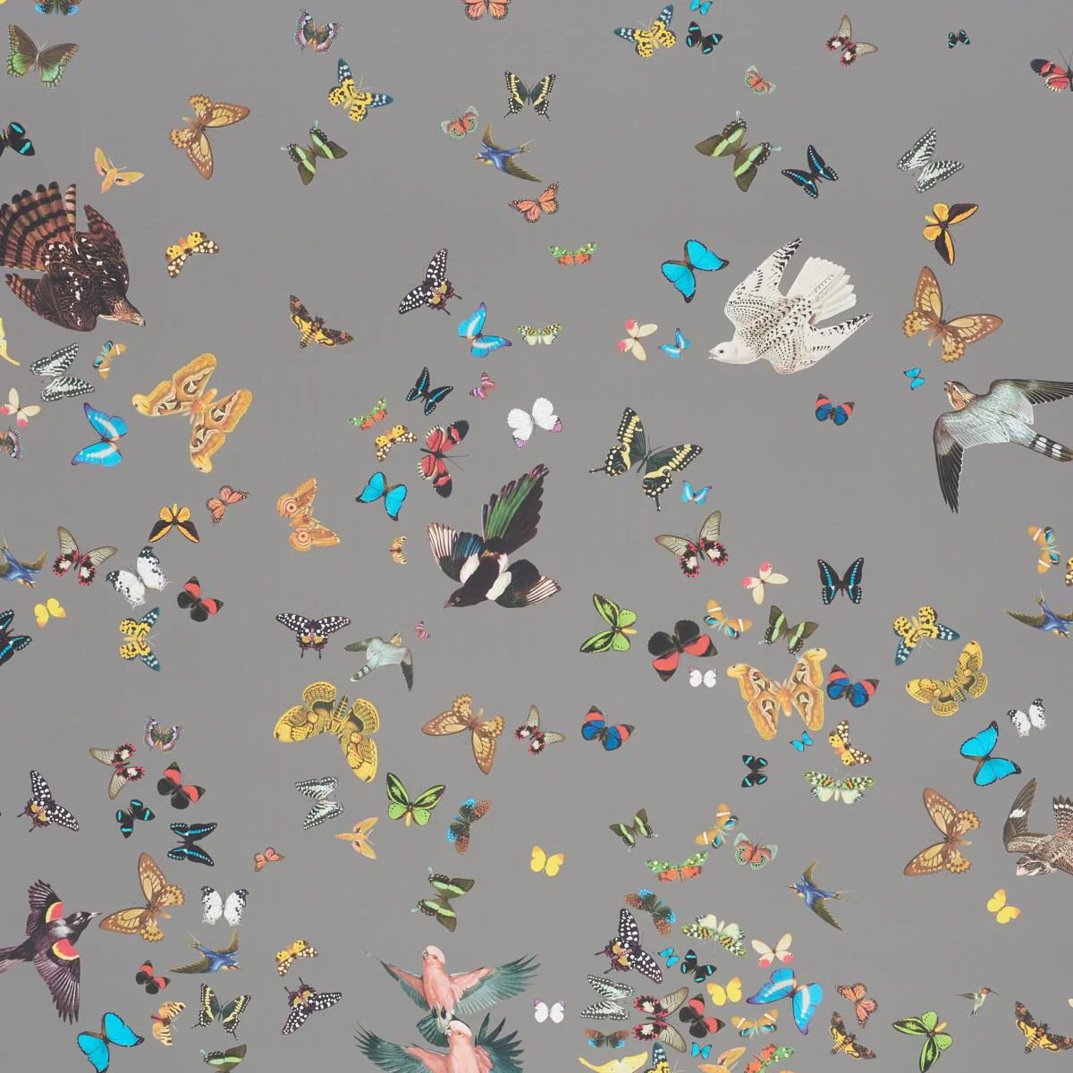 Schumacher Queen'S Flight Panel Set Grey Wallpaper - Image 3