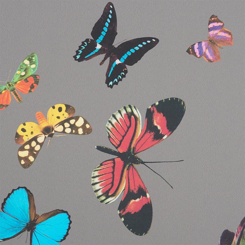 Schumacher Queen'S Flight Panel Set Grey Wallpaper - Image 4