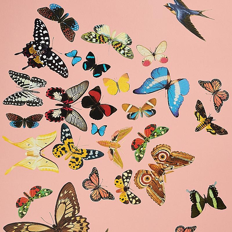 Schumacher Queen'S Flight Panel Set Pink Wallpaper - Image 5