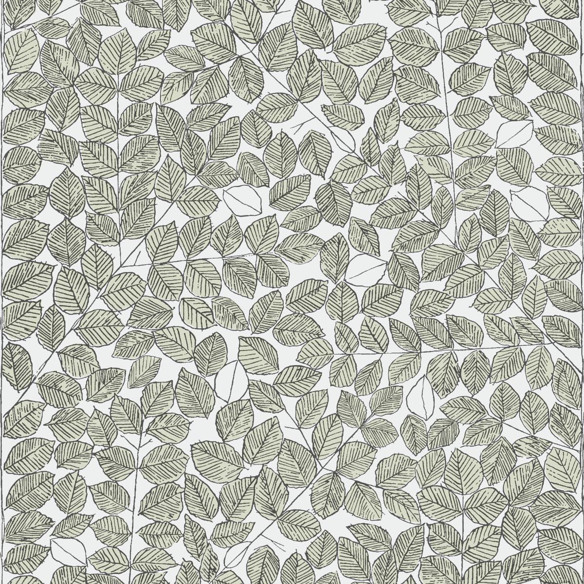 Schumacher Romans Leaf Wallpaper