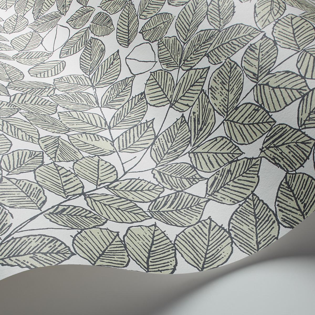 Schumacher Romans Leaf Wallpaper - Image 2