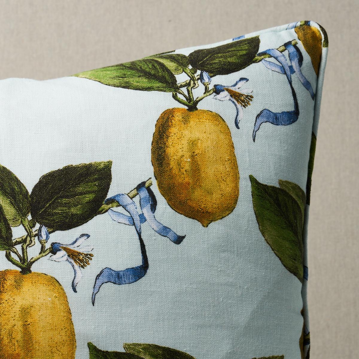 Schumacher Sky 20" X 20" Le Citron Pillow - Image 4