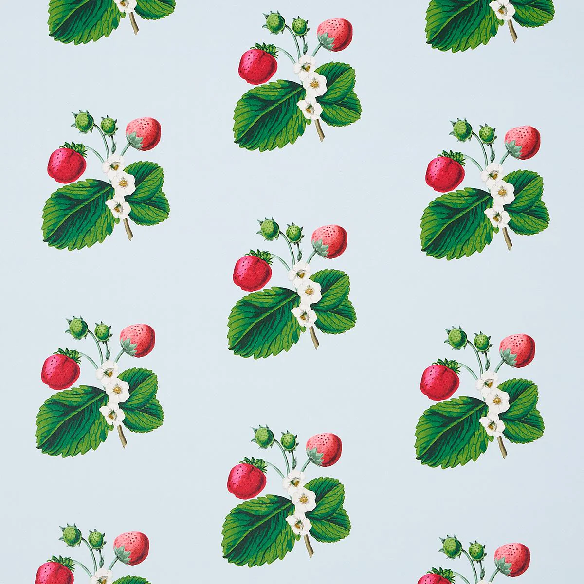 Schumacher Strawberry Hill Blue Wallpaper