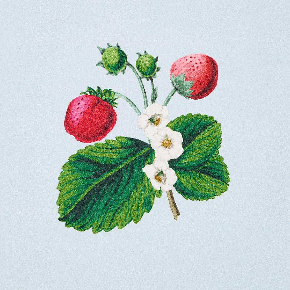 Schumacher Strawberry Hill Blue Wallpaper - Image 5