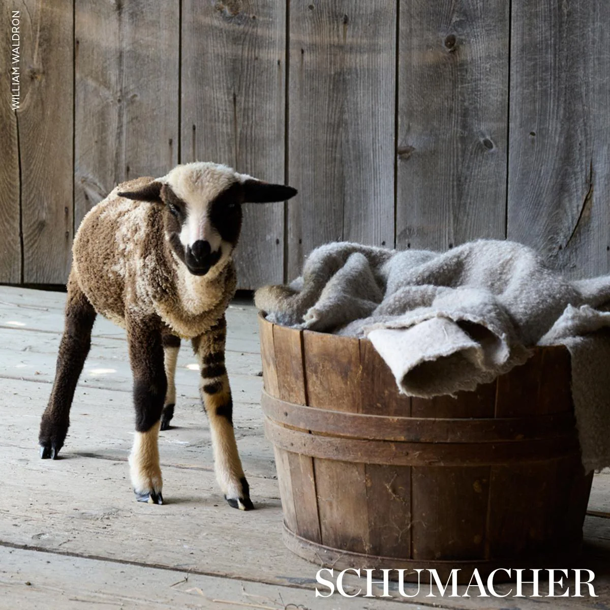 Schumacher Teddy Wool Bouclé Grey Fabric - Image 6