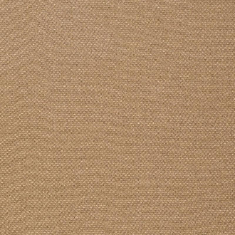 Schumacher Trapani Indoor/Outdoor Antelope Fabric