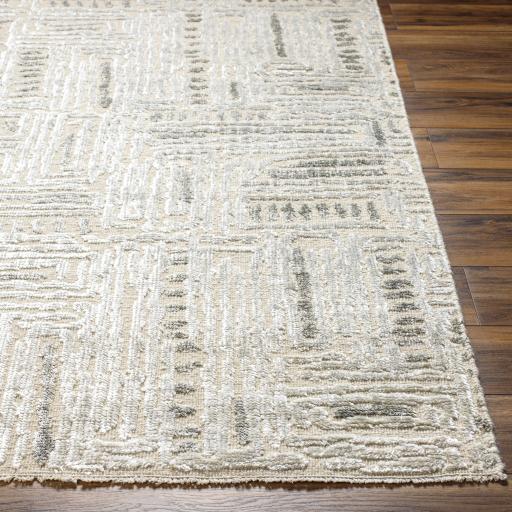 Surya Amina Ama-2303 9' X 12' Handmade Rug - Image 4