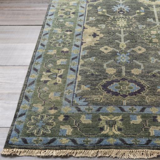 Surya Antique Atq-1008 9' X 13' Handmade Rug - Image 2
