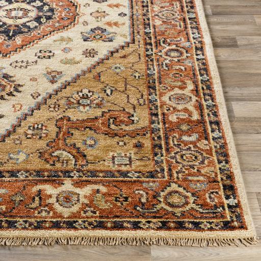 Surya Biscayne Bsy-2302 4' X 6' Handmade Rug - Image 3