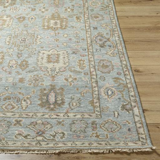 Surya Biscayne Bsy-2305 9' X 13' Handmade Rug - Image 4