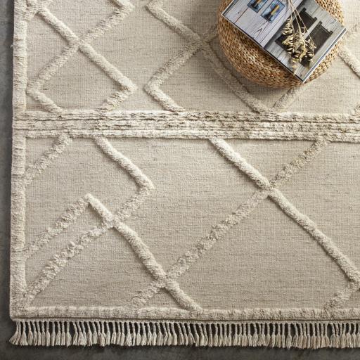 Surya Cadiz Cdz-2303 10' X 14' Handmade Rug - Image 3