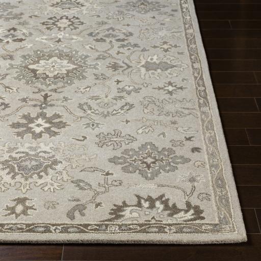 Surya Caesar Cae-1197 6' Square Rug - Image 4