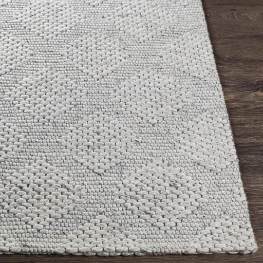 Surya Colarado Cdo-2302 2' X 3' Handmade Rug - Image 4
