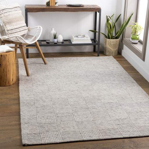 Surya Colarado Cdo-2308 8' X 10' Handmade Rug - Image 2