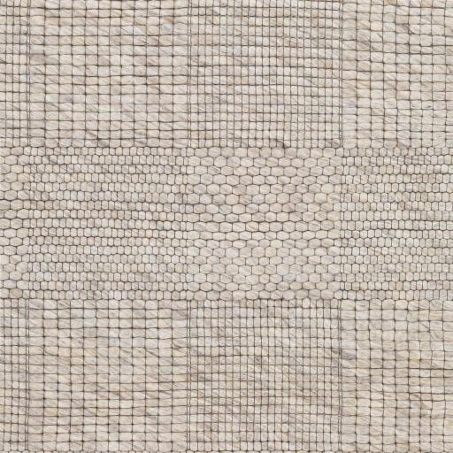 Surya Colarado Cdo-2308 8' X 10' Handmade Rug - Image 8