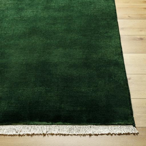 Surya Evergreen Evg-2313 8' Square Rug - Image 2
