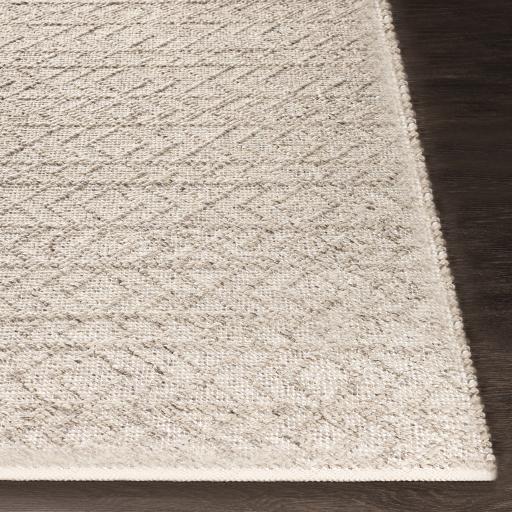 Surya Ingrid Ing-2004 8' X 10' Handmade Rug - Image 4