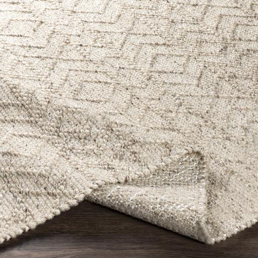 Surya Ingrid Ing-2004 8' X 10' Handmade Rug - Image 5