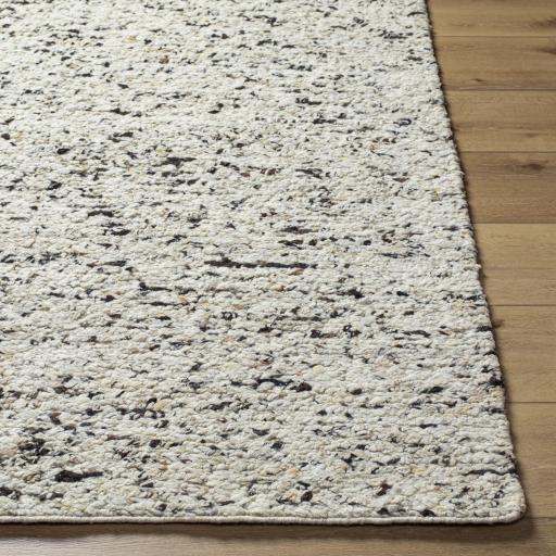 Surya La Palma Lpl-2302 8' X 10' Handmade Rug - Image 4