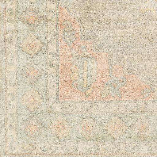 Surya Malatya Mty-2301 2' X 3' Handmade Rug - Image 6