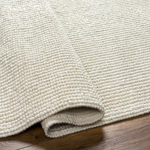 Surya Rebecca Rbc-2303 2' X 3' Handmade Rug - Image 5
