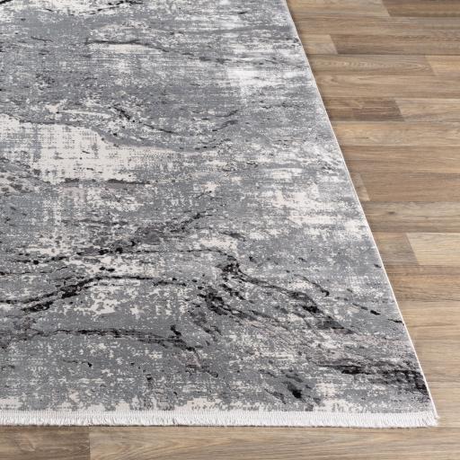 Surya Solar Sor-2309 3'1" X 8' Machine Woven Rug - Image 3