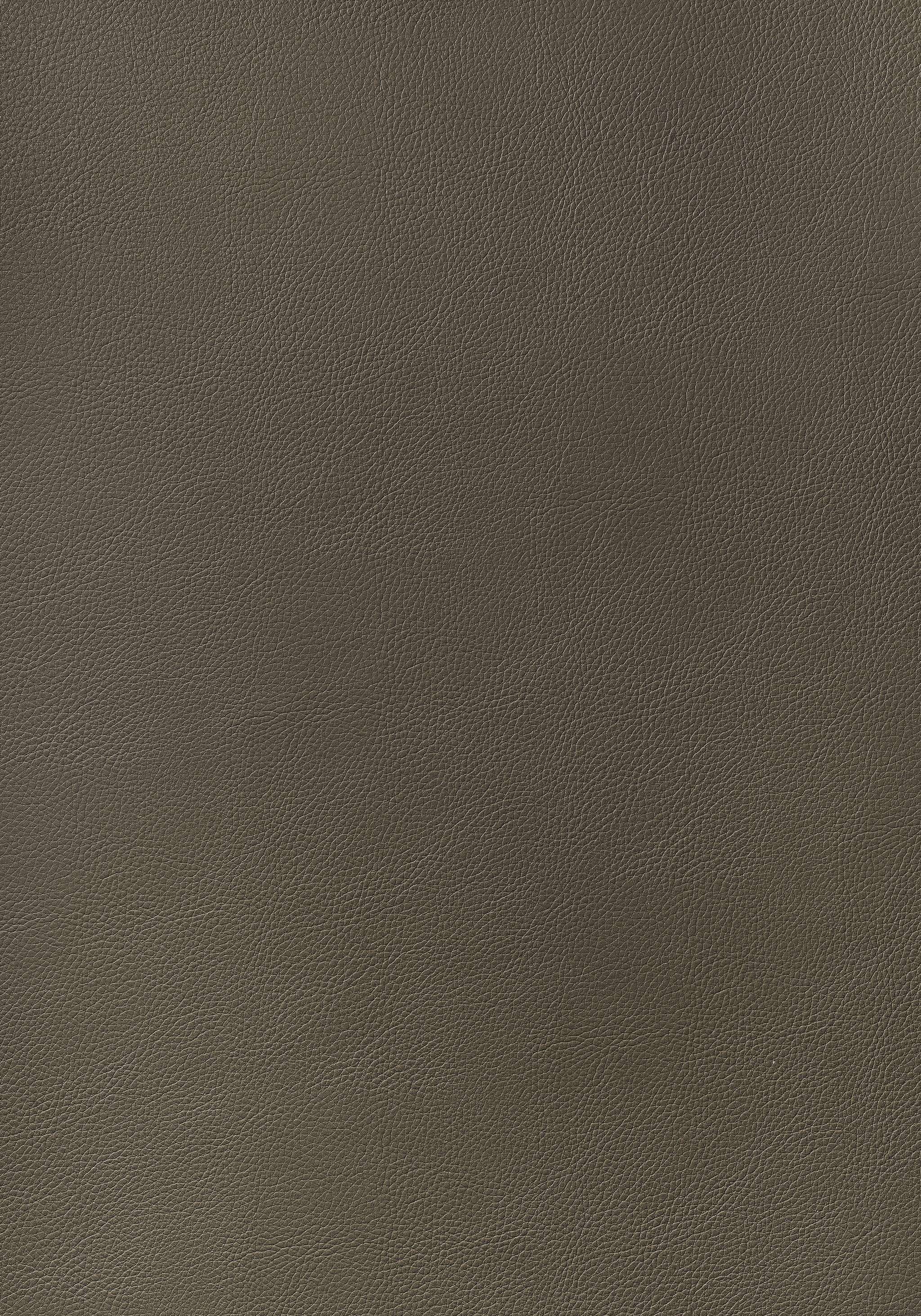 Thibaut Arcata Bark Fabric
