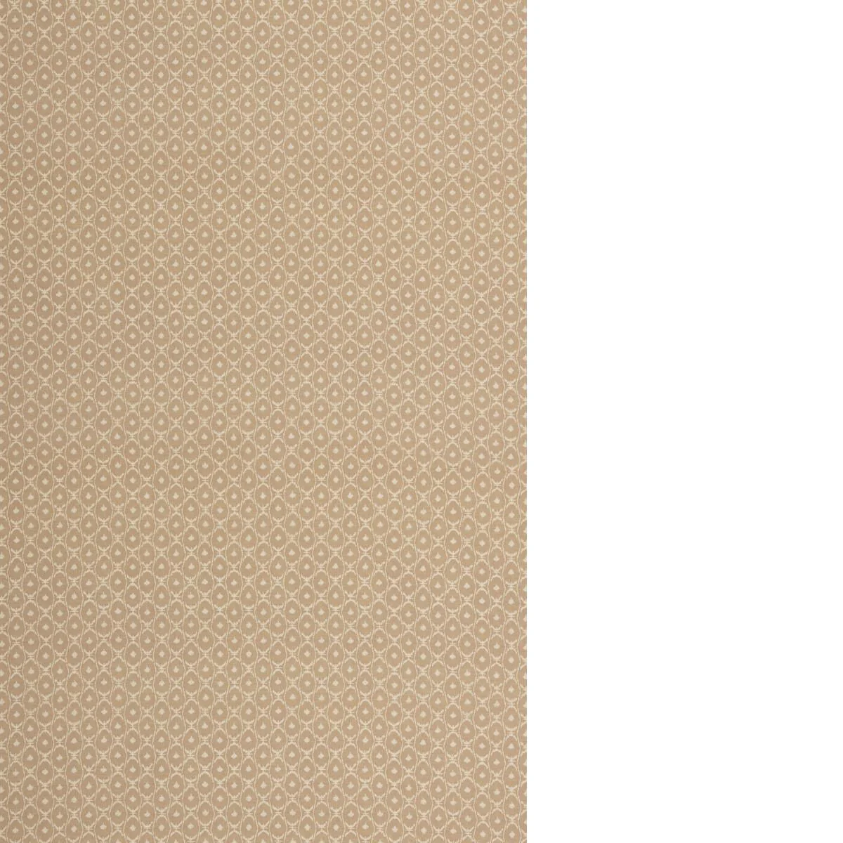 Threads Halo Cloud Fabric