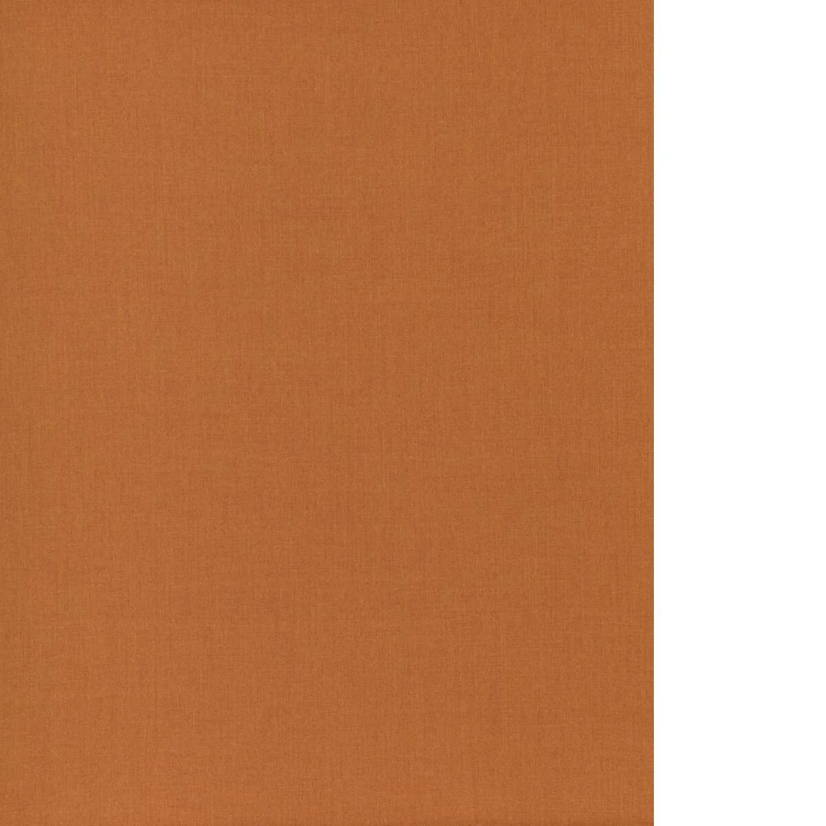 Threads Infinity Spice Fabric