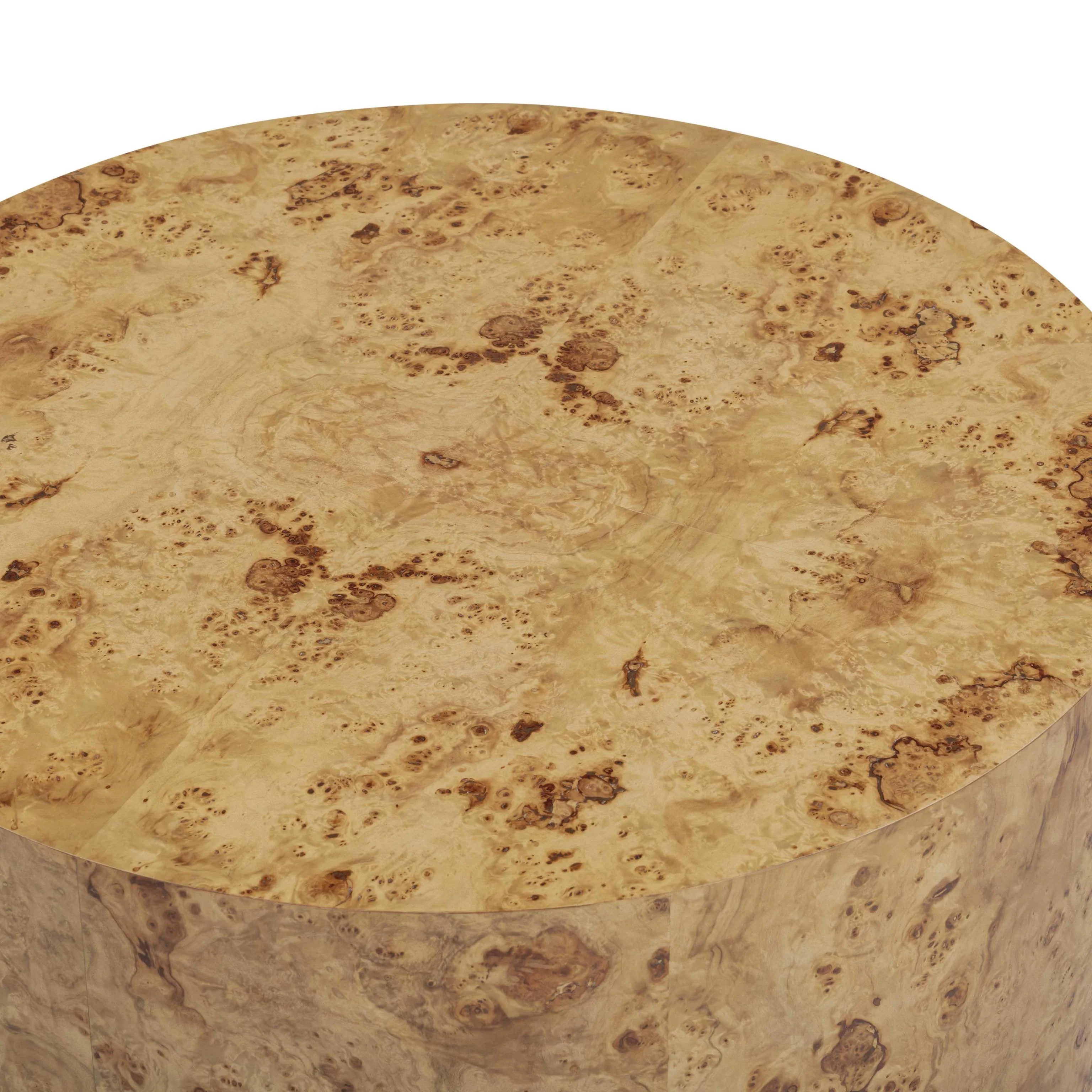 Tov Fig 36" Natural Burl Drum Round Coffee Table - Image 7