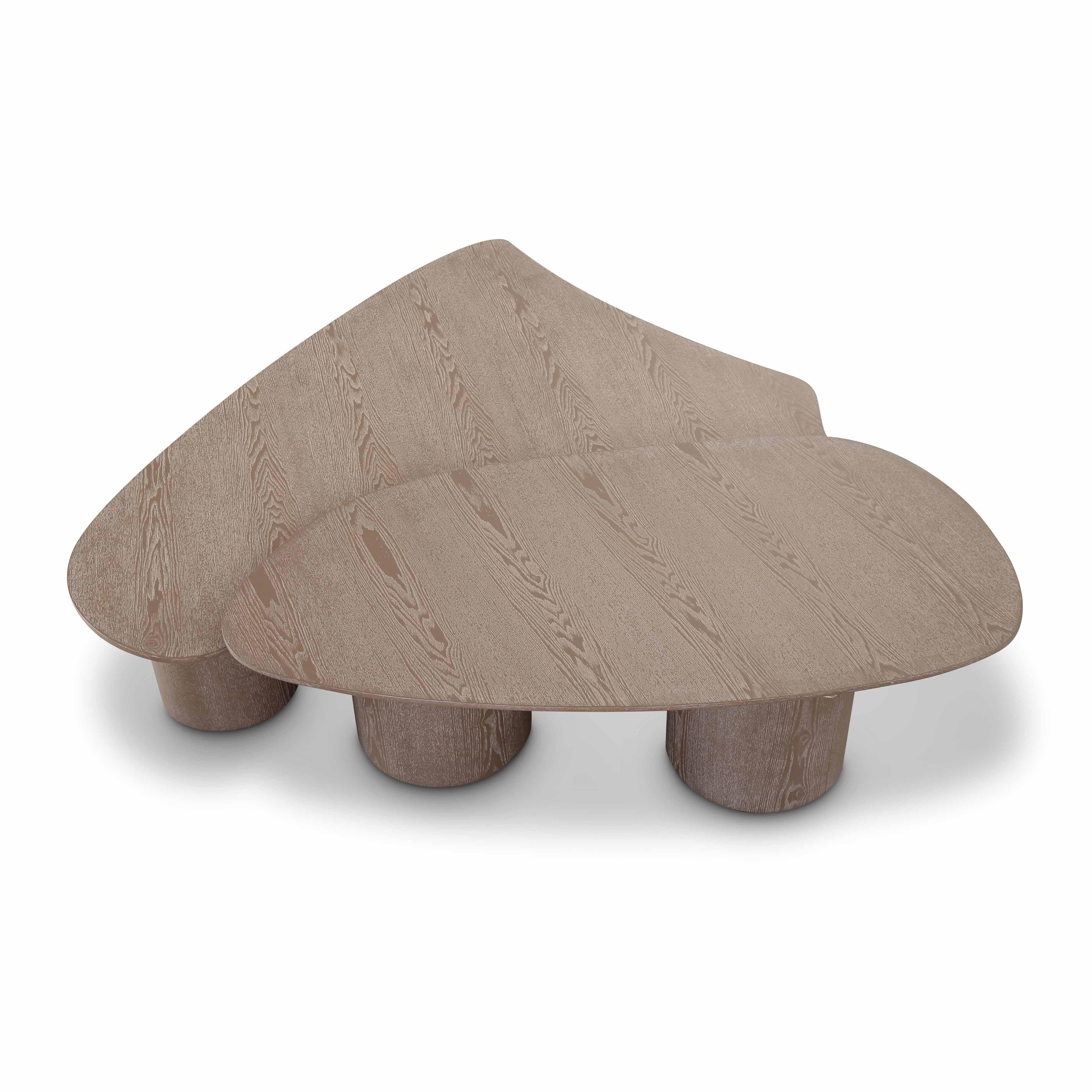 Tov Rhema 2-Piece Washed Ash Nesting Coffee Table Set - Image 6