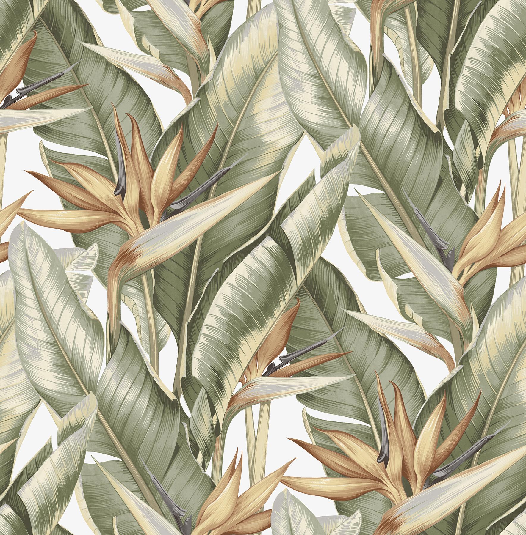 York Arcadia Light Green Banana Leaf Wallpaper