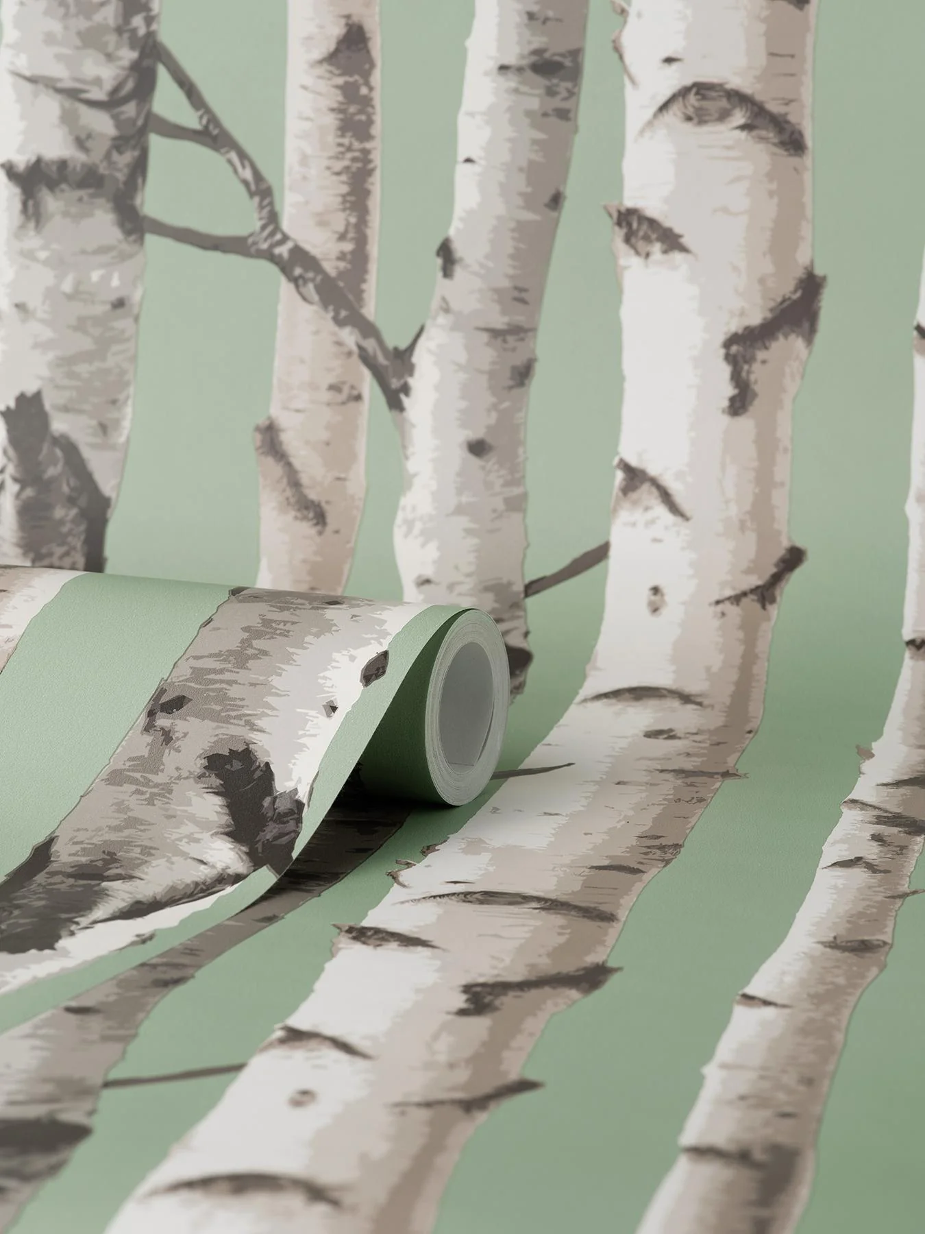 York Chester Sage Birch Trees Wallpaper - Image 3