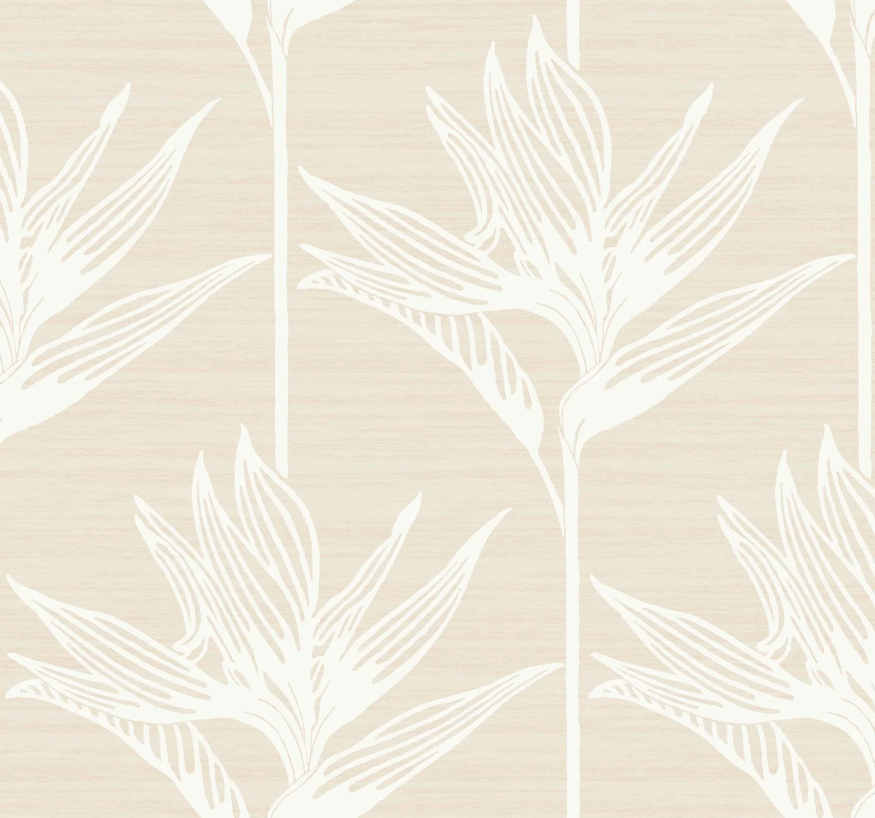 York Wallcoverings Bird Of Paradise White Wallpaper